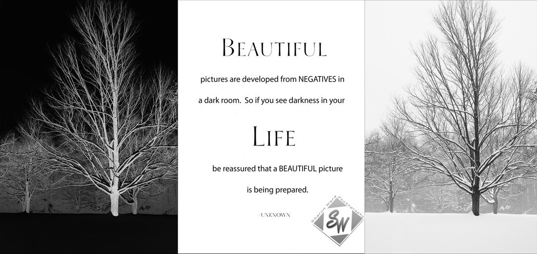 Beautiful-pictures-life-card-3-UP